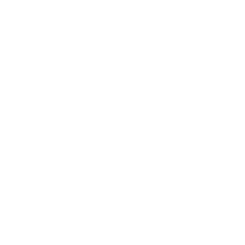 Simon Niklaus Logo